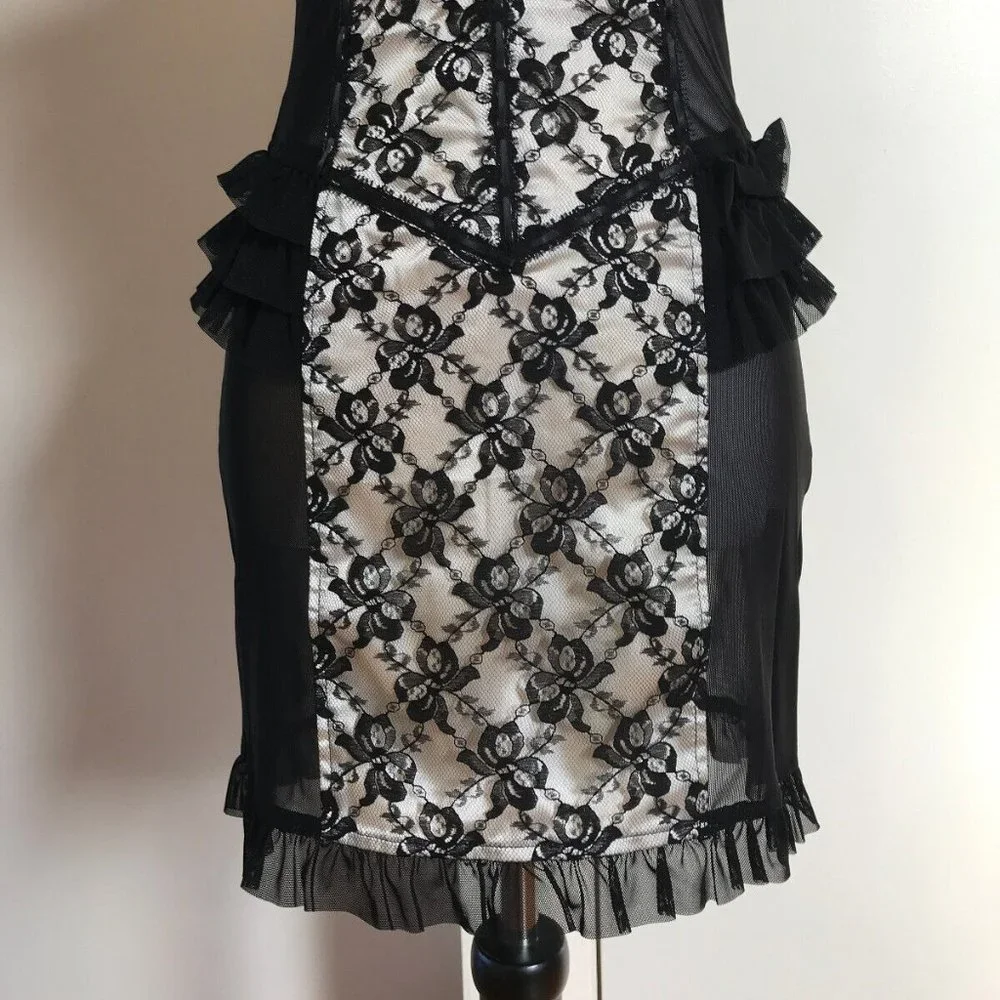 Lip Service Vintage Vaudeville Vamps Gothic Victorian Lace & Mesh Dress XS - Picture 3 of 8